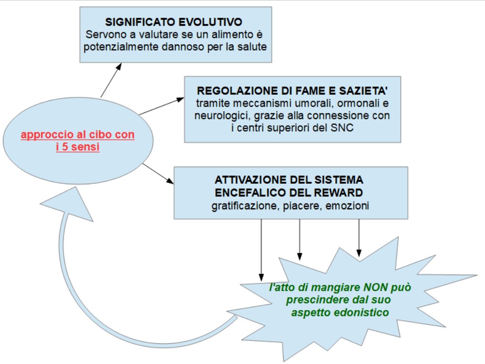 gusti sensoriali cambiano